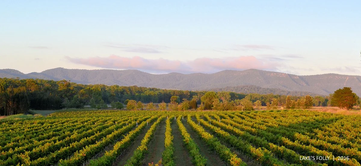 Lake's Folly Vineyard