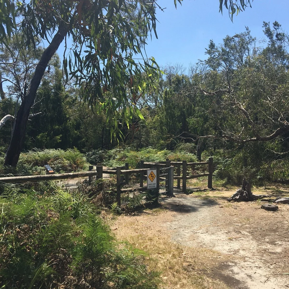 Colley st Bushland Reserve