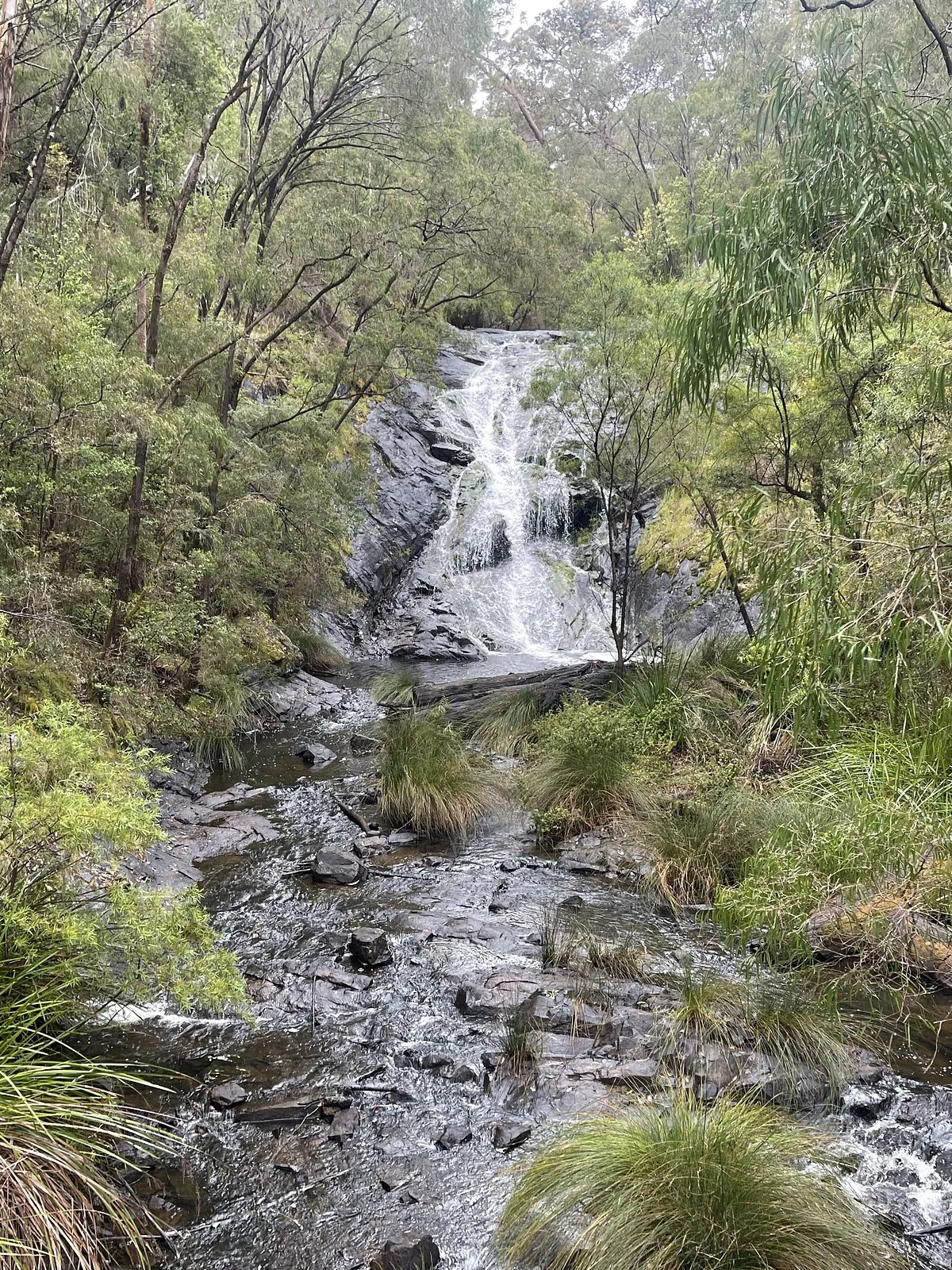 Greater Beedelup National Park
