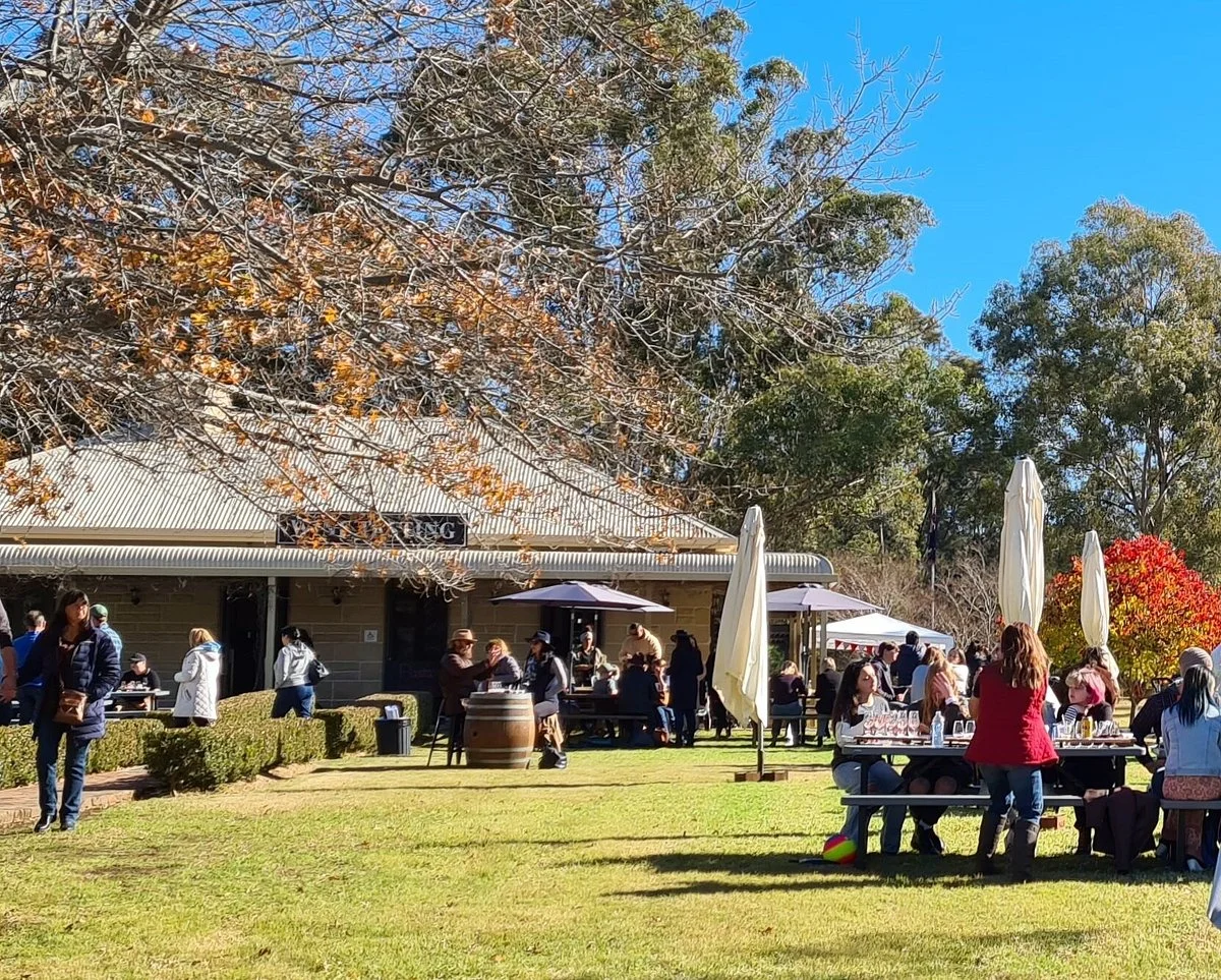 Pokolbin Estate Vineyard