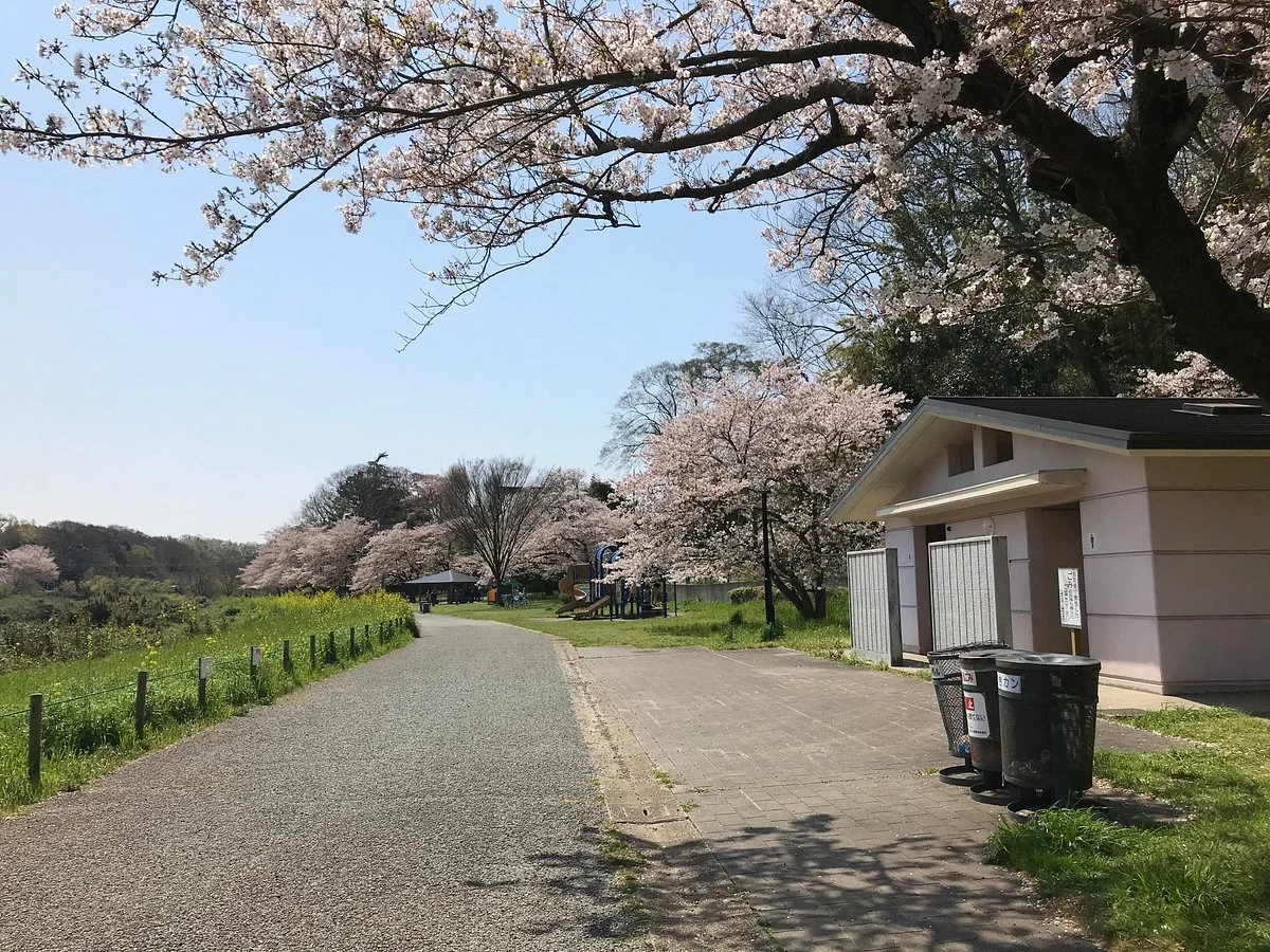 Hanashima Park