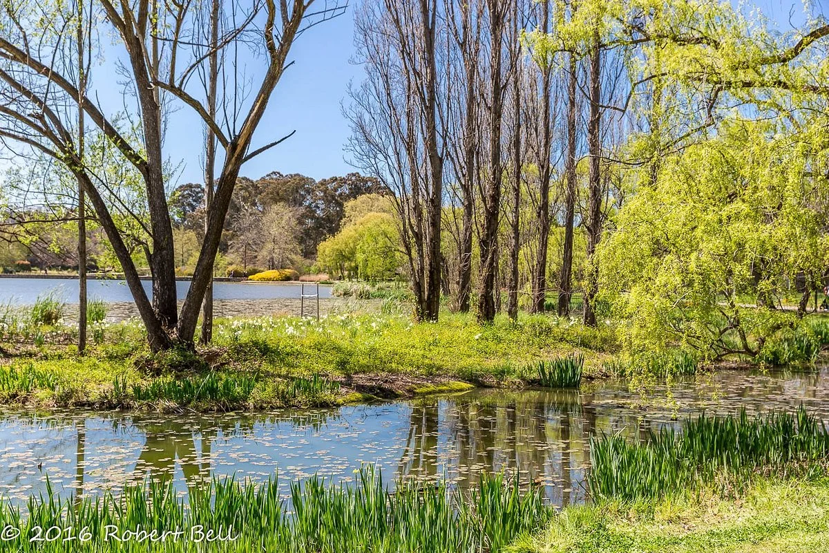 Commonwealth Park