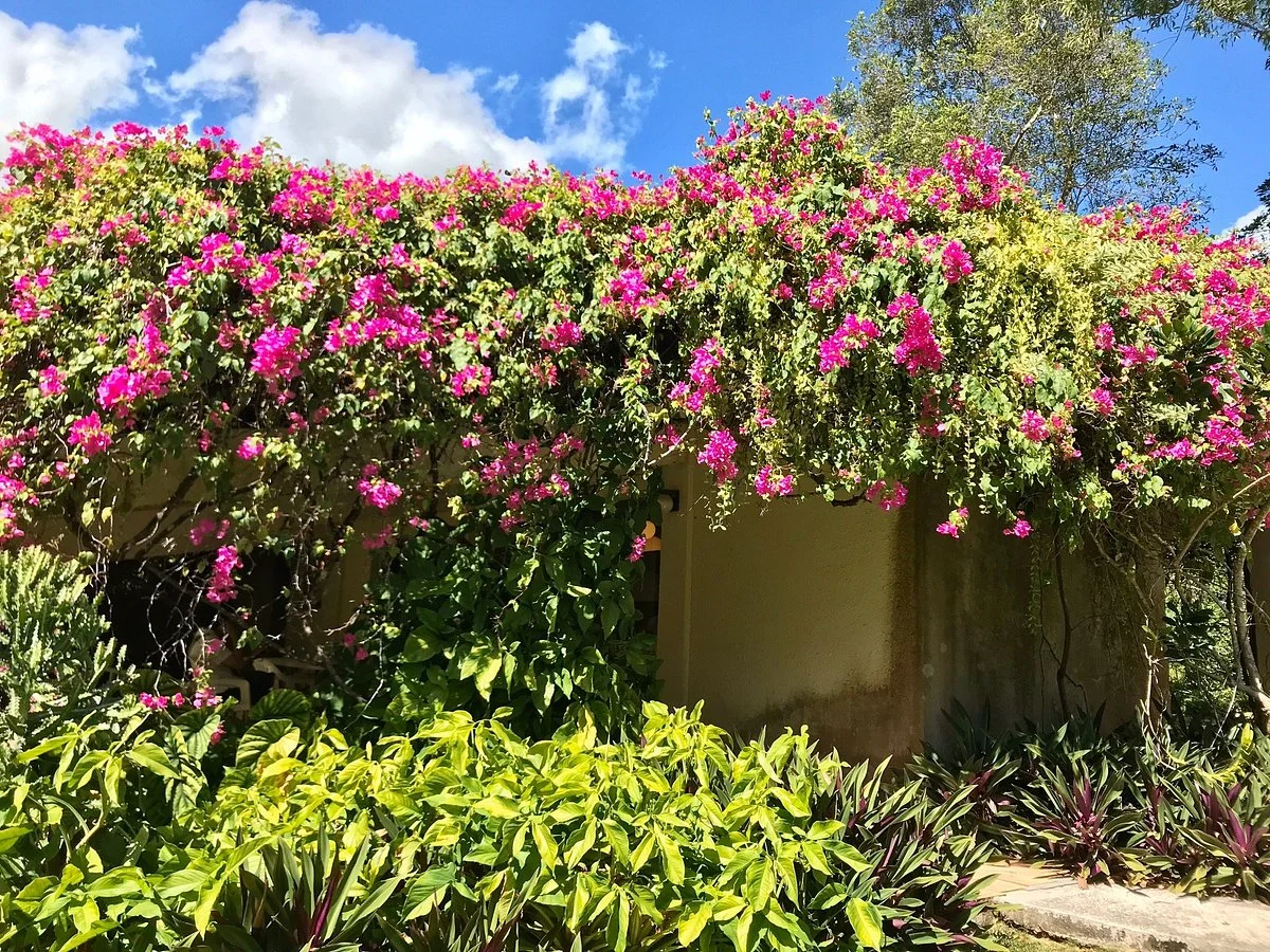 Guam Sankyo Garden
