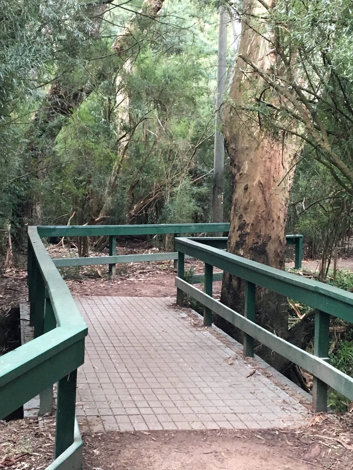Wilsons Reserve
