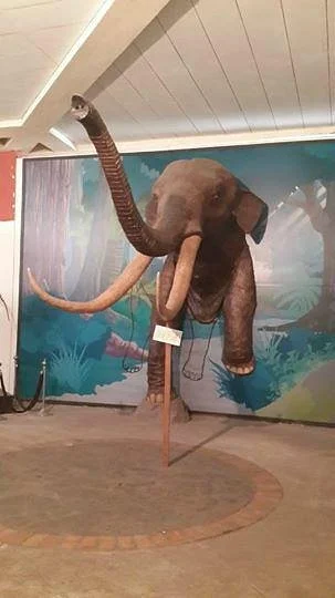 Museum Ronggowarsito