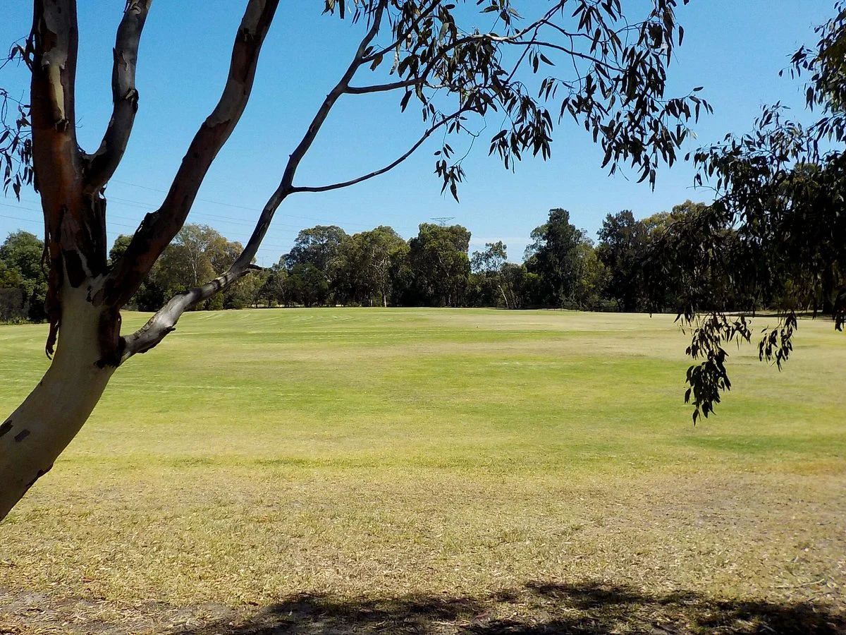 Nettleton Park