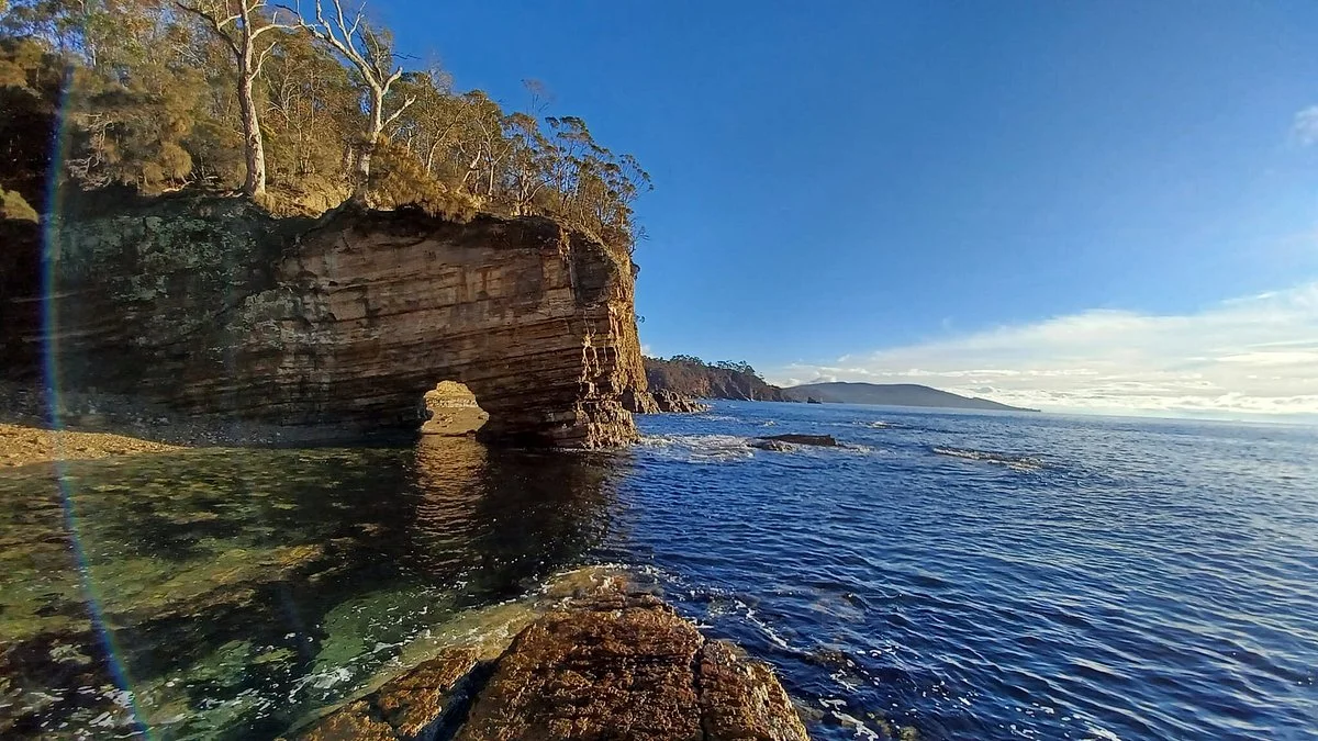 Fossil Cove