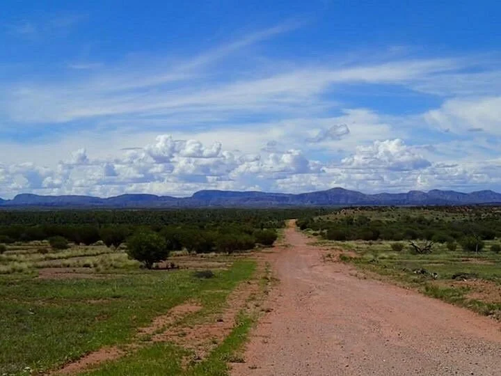 Owen Springs Reserve