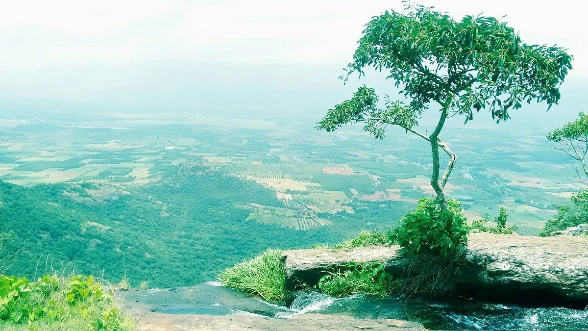 Chellarkovil Viewpoint
