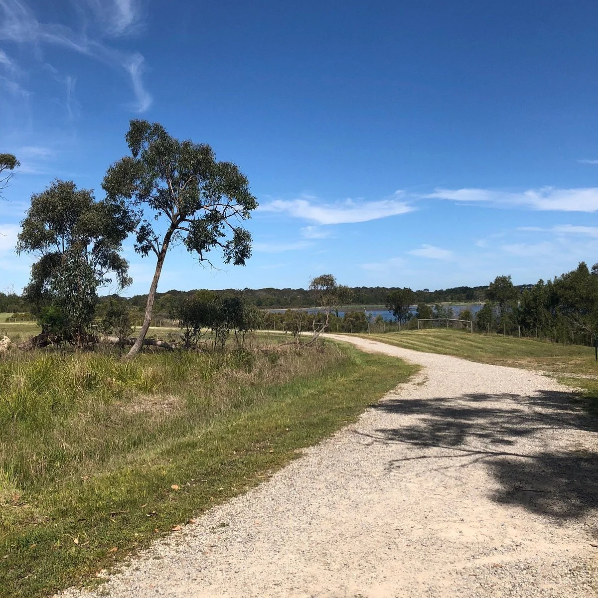 Bittern Reservoir