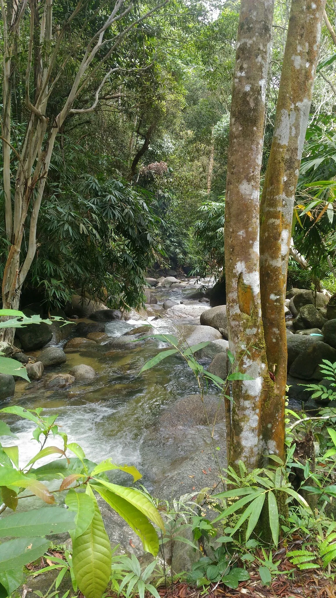 Lata Ulu Chepor