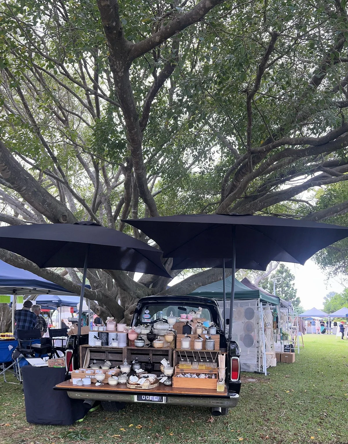 Fig Tree Markets