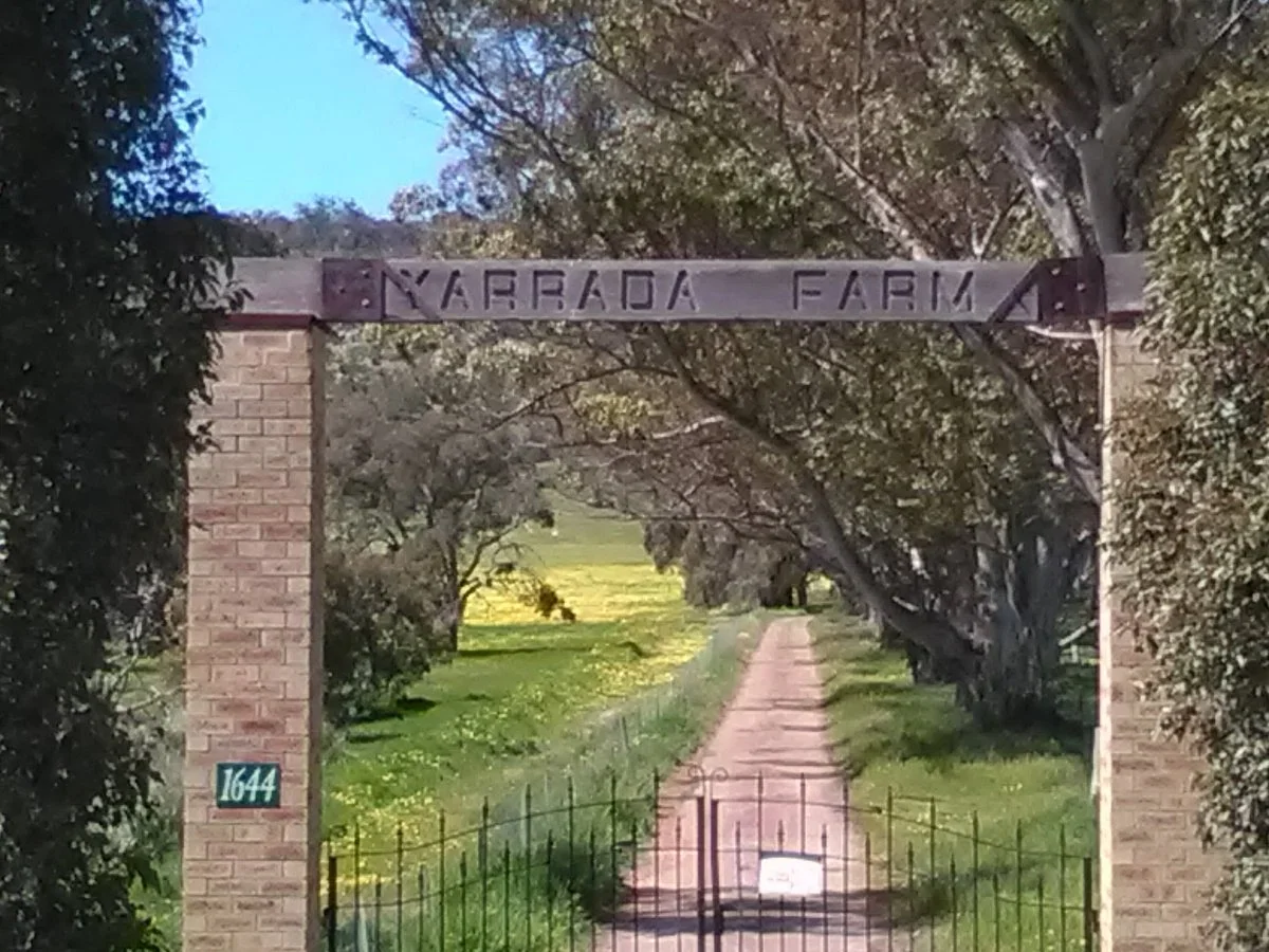 Yarrada Farm
