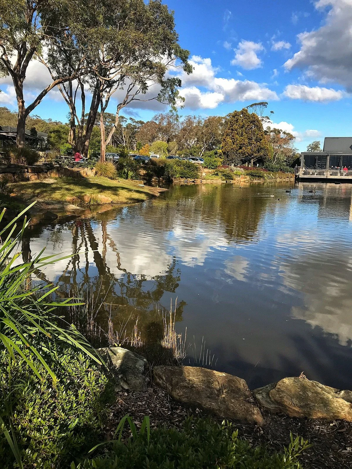 Saddles Garden Centre