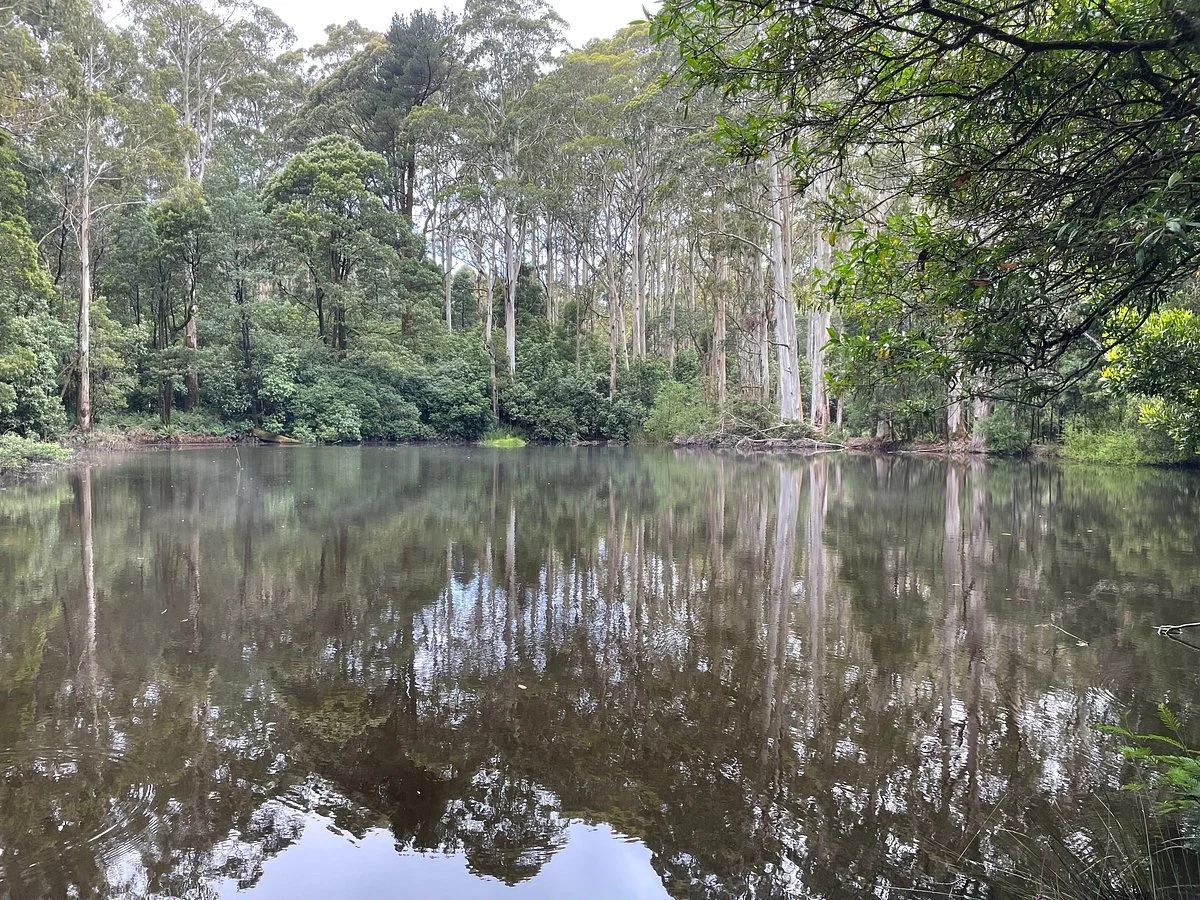 Sanatorium Lake