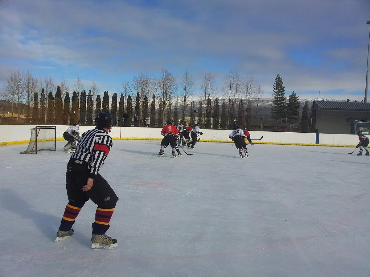 Ice Inline Sports Complex