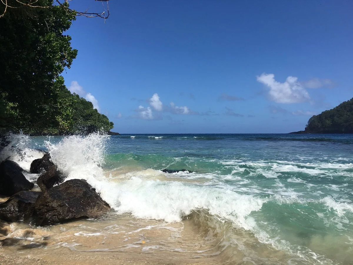 Fagatele Bay Trail