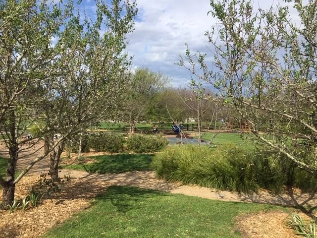 Timbarra Park