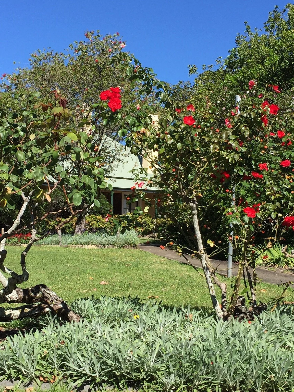 Sydney Hills Visitor Interpretation Centre