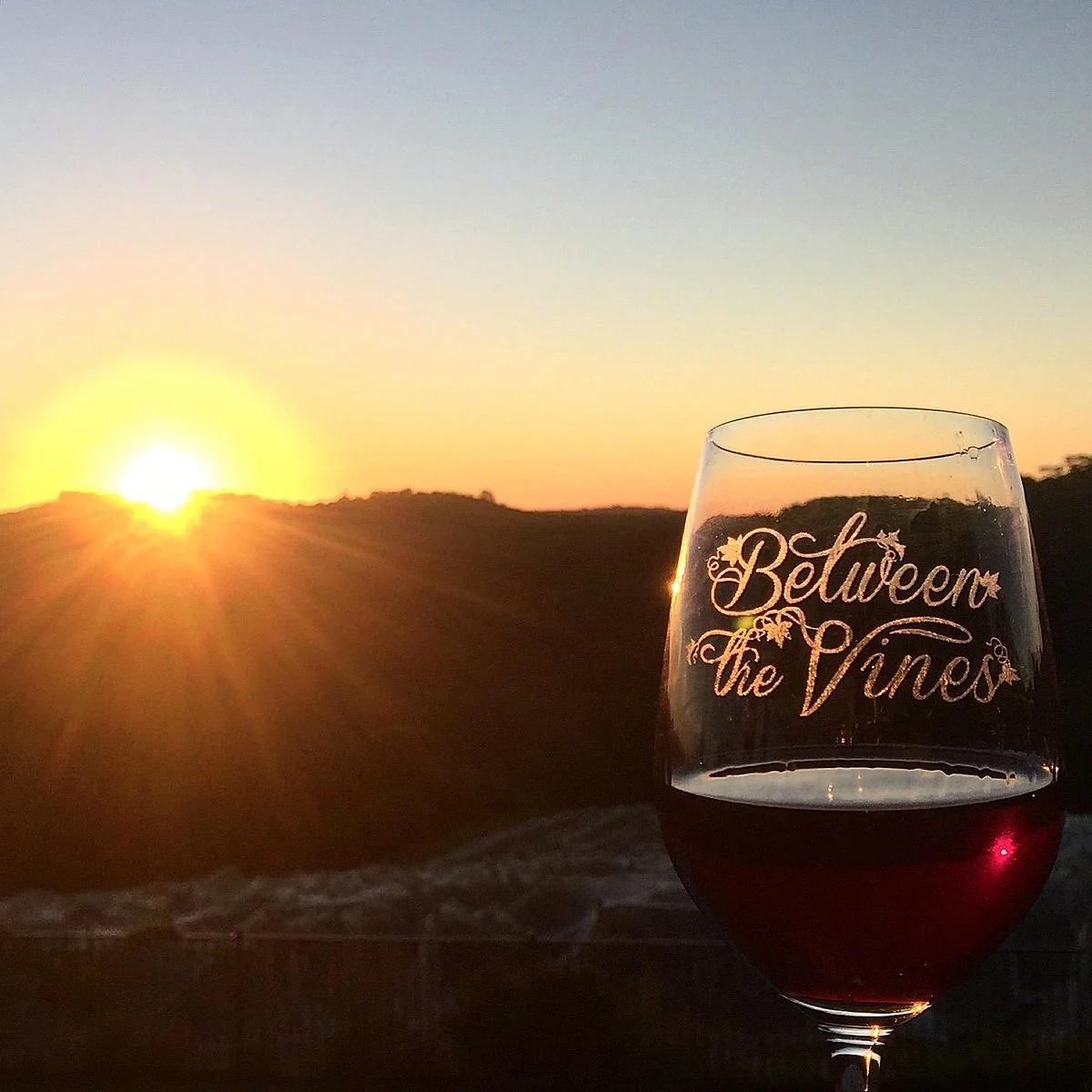 Between the Vines Cellar Door