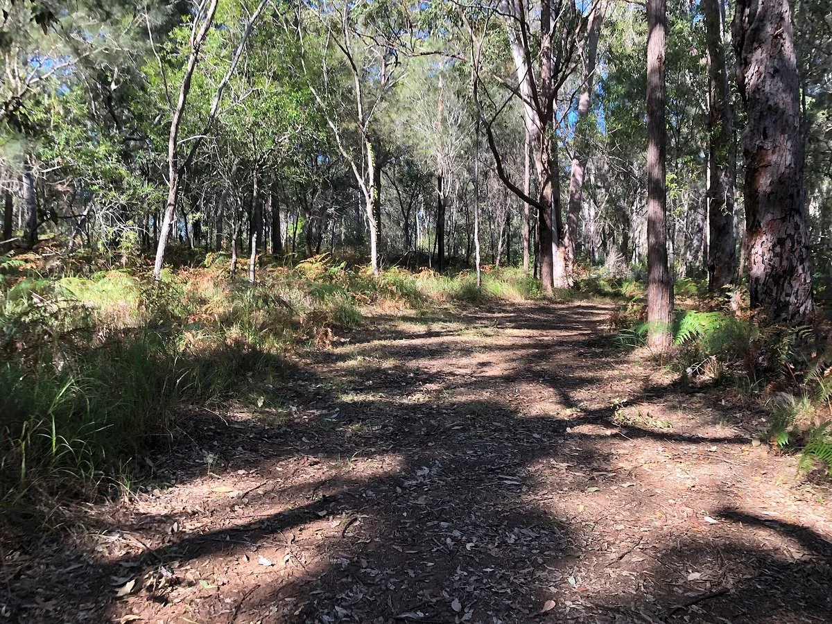 Russell Island Conservation Corner