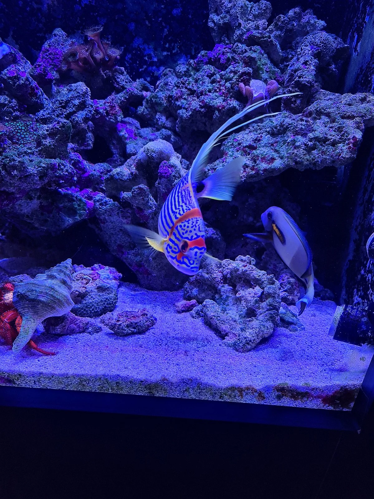 Ningaloo Aquarium & Discovery Centre