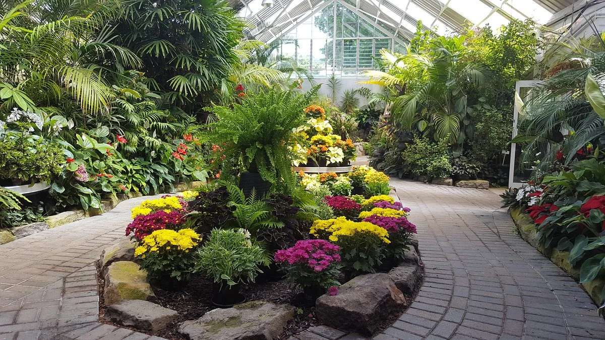 Botanica Whangarei