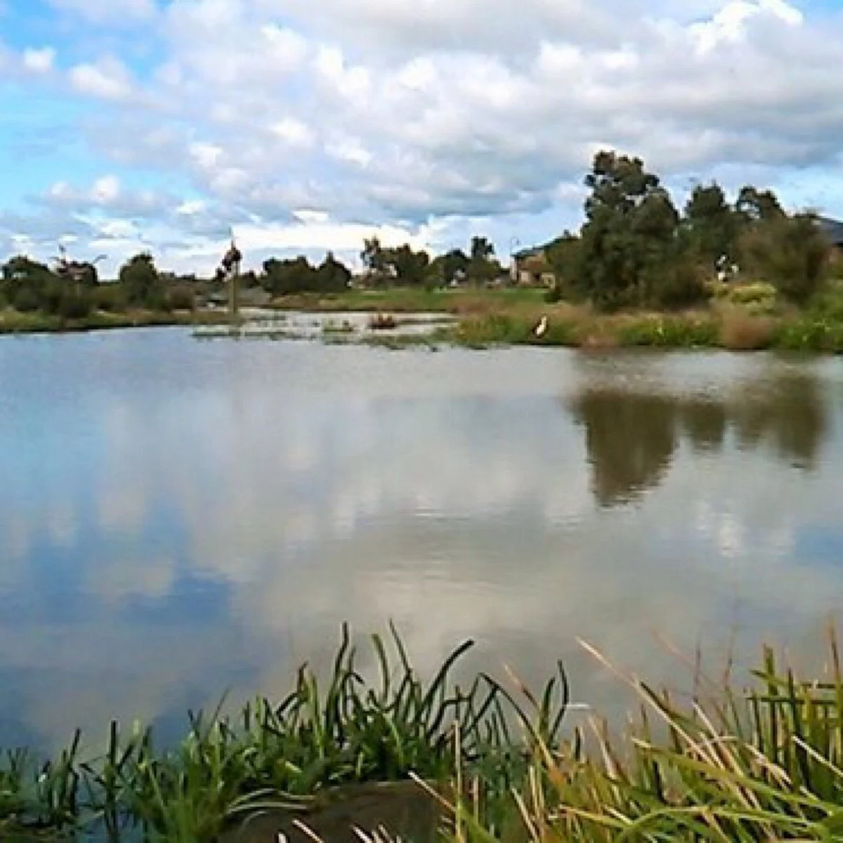 Marriott Waters Reserve