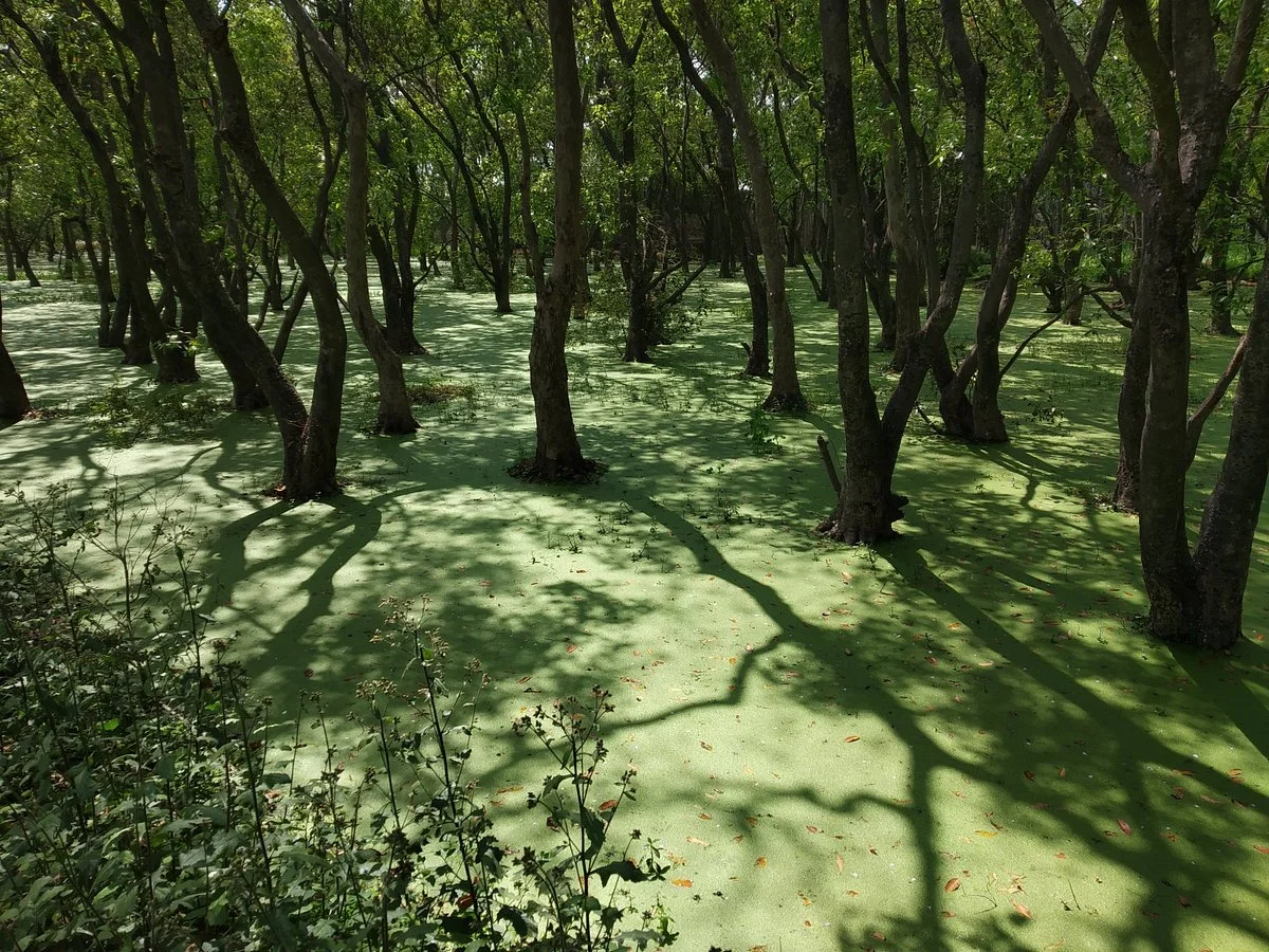 Shekha Jheel