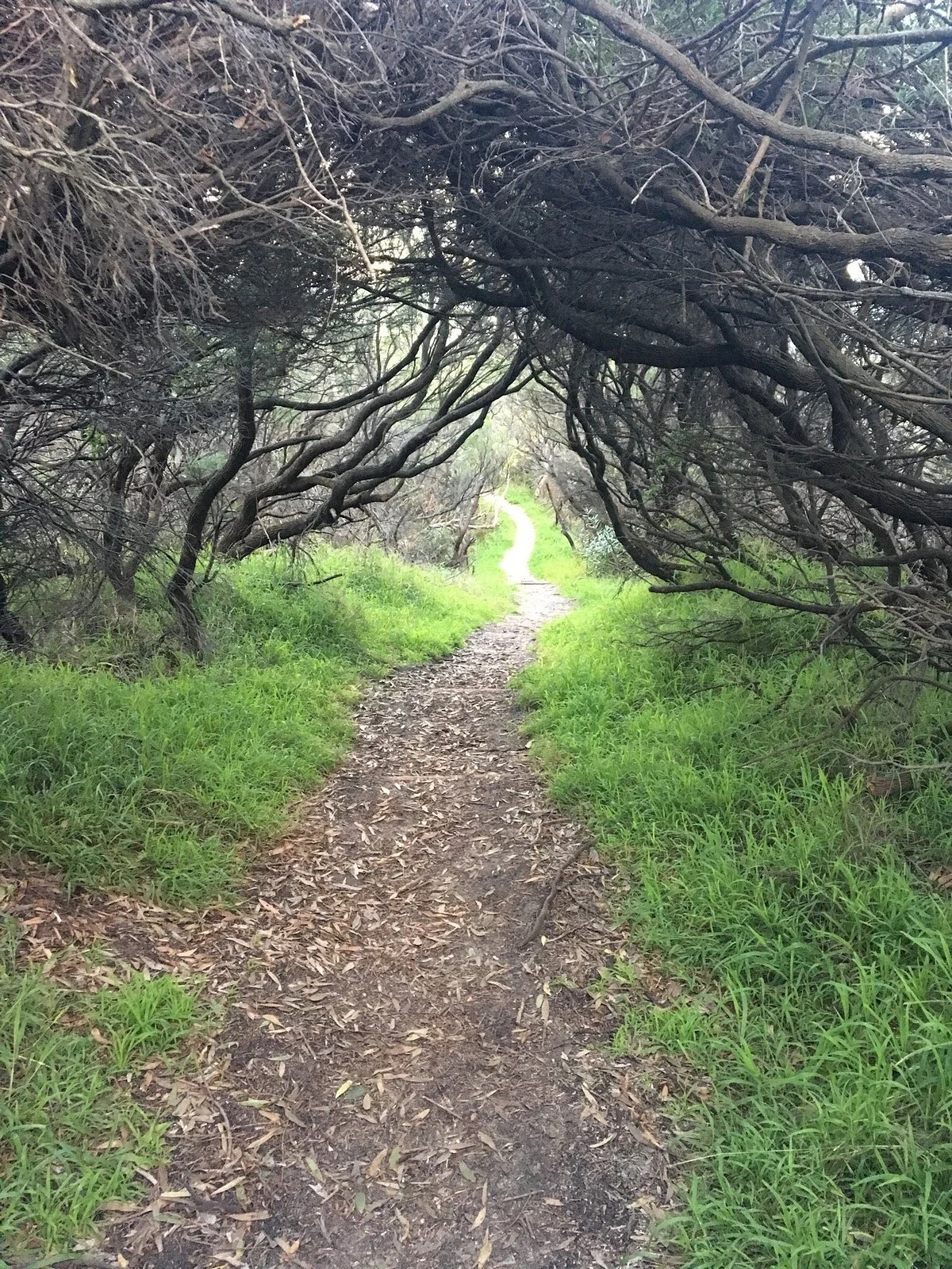 Buxton Woodland Reserve