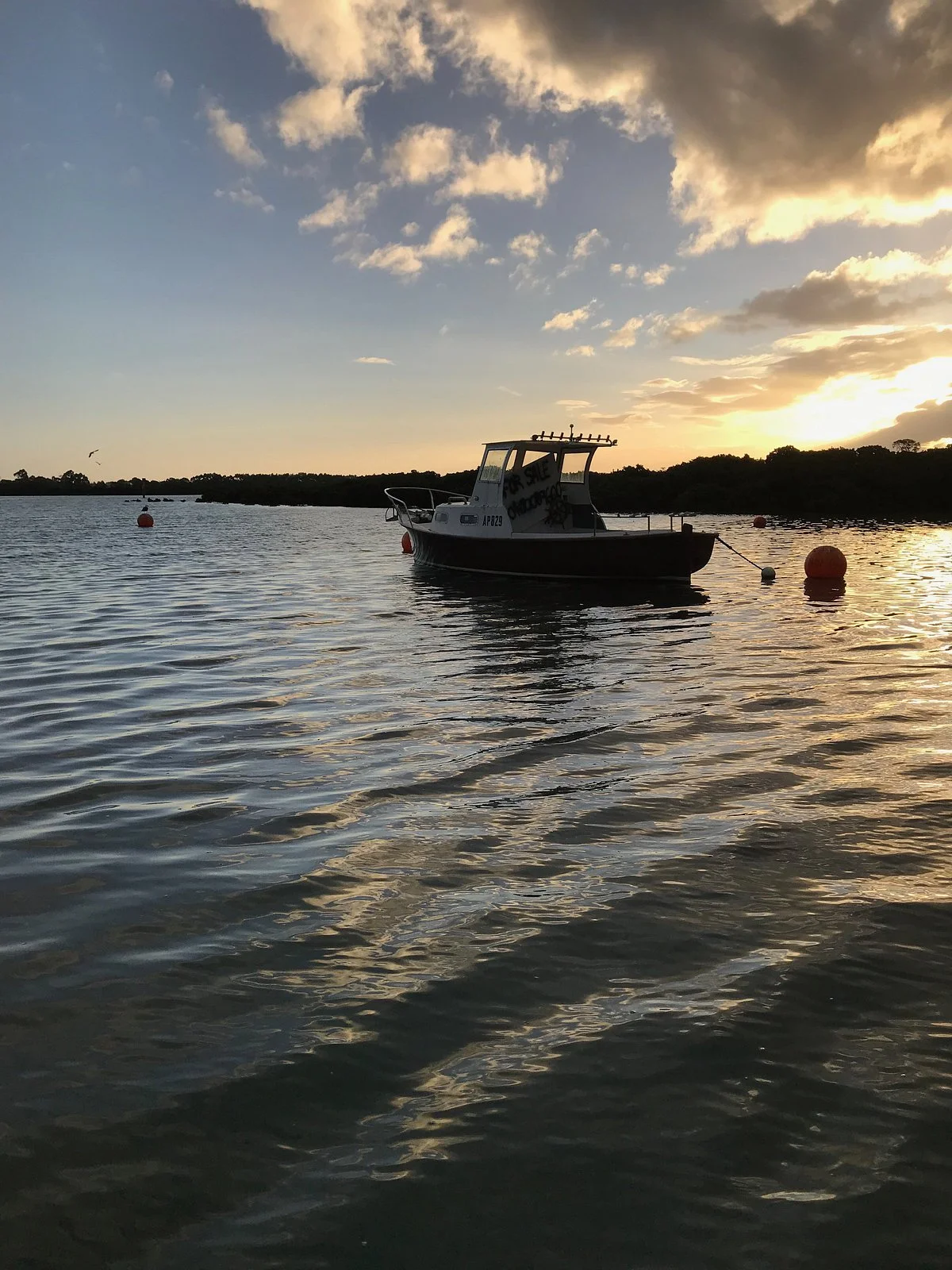 Tooradin Jetty
