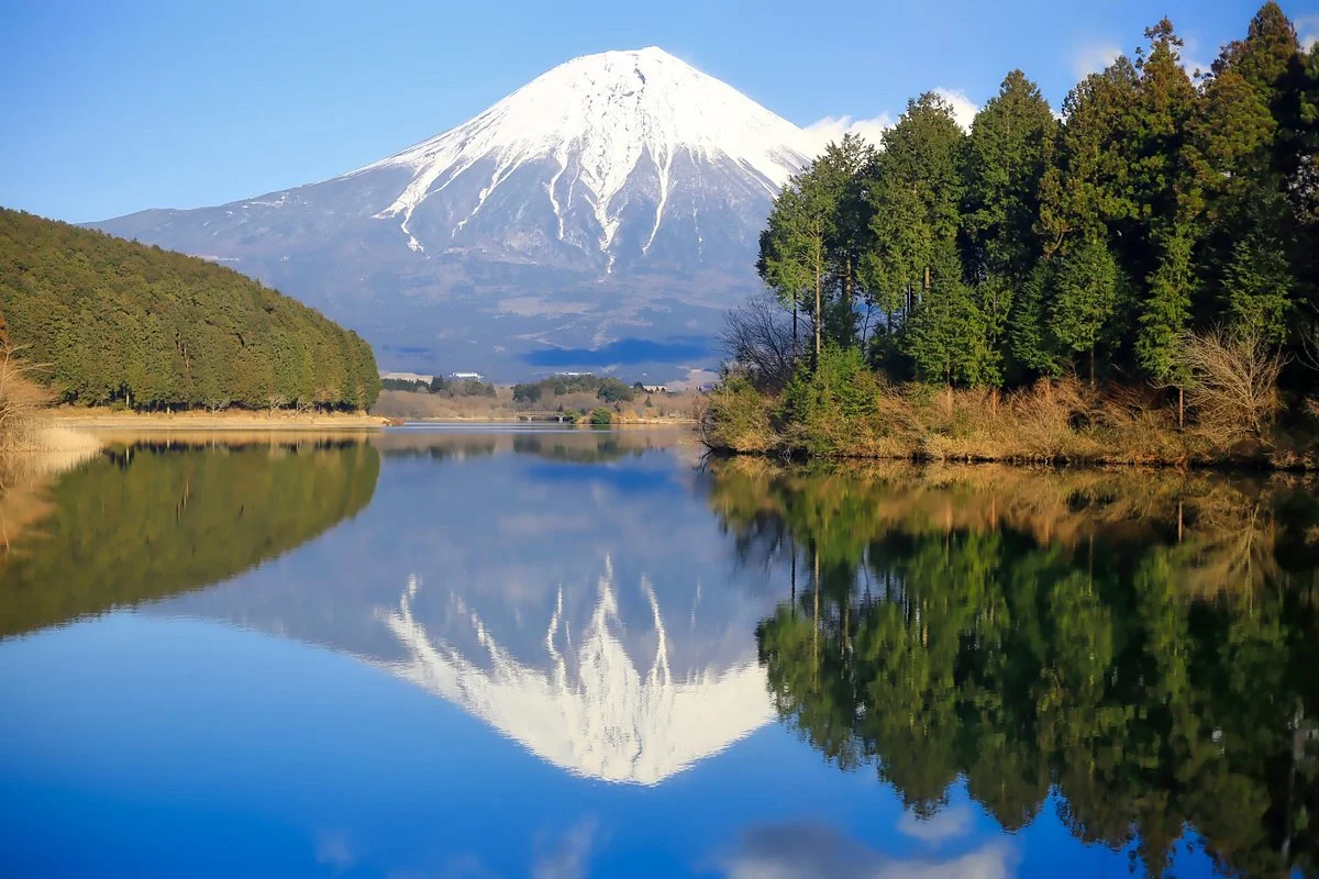Lake Tanuki