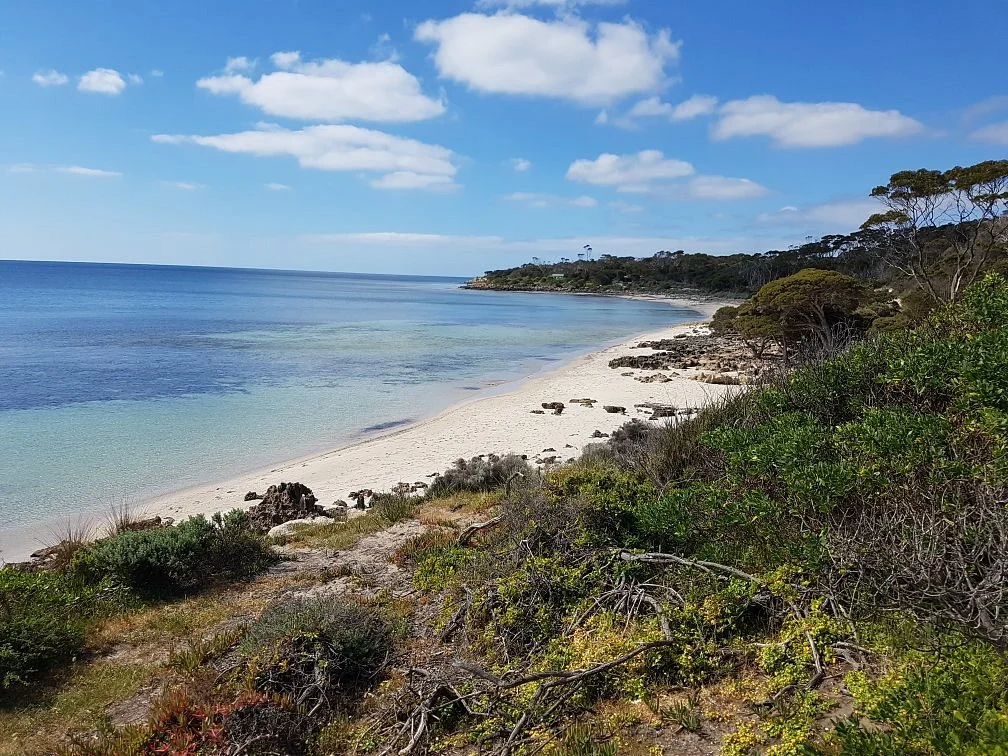 Browns Beach