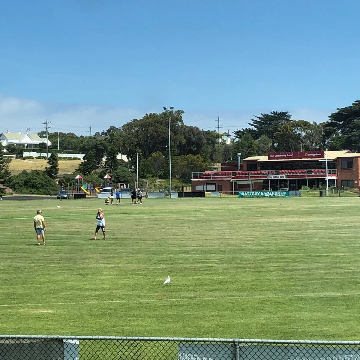 David McFarlane Reserve