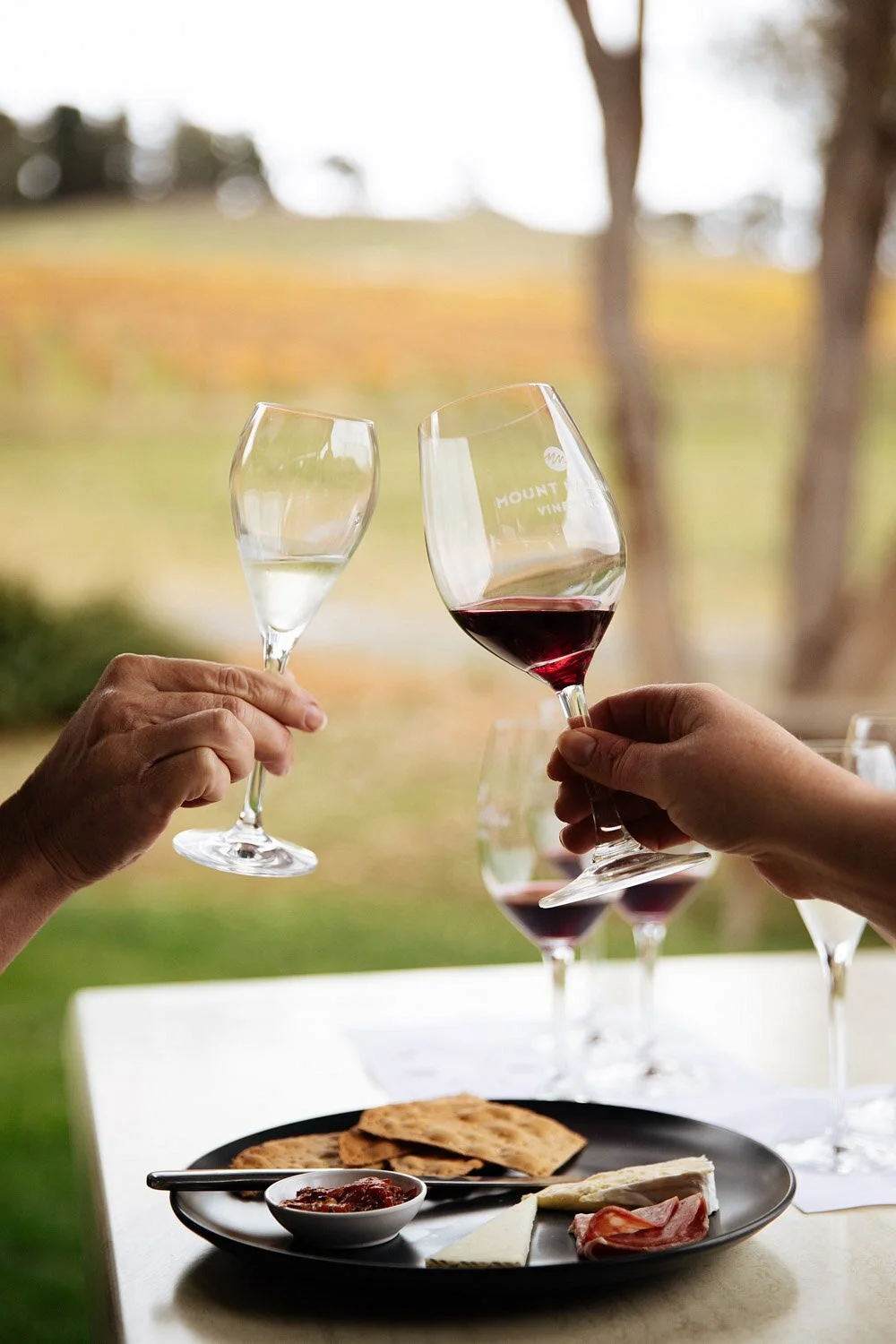 Mount Majura Vineyard