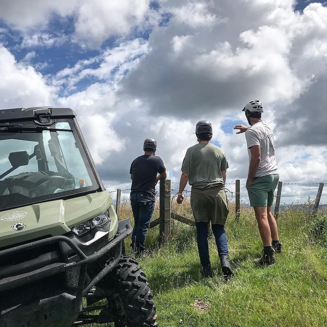 Hawke's Bay Escapes