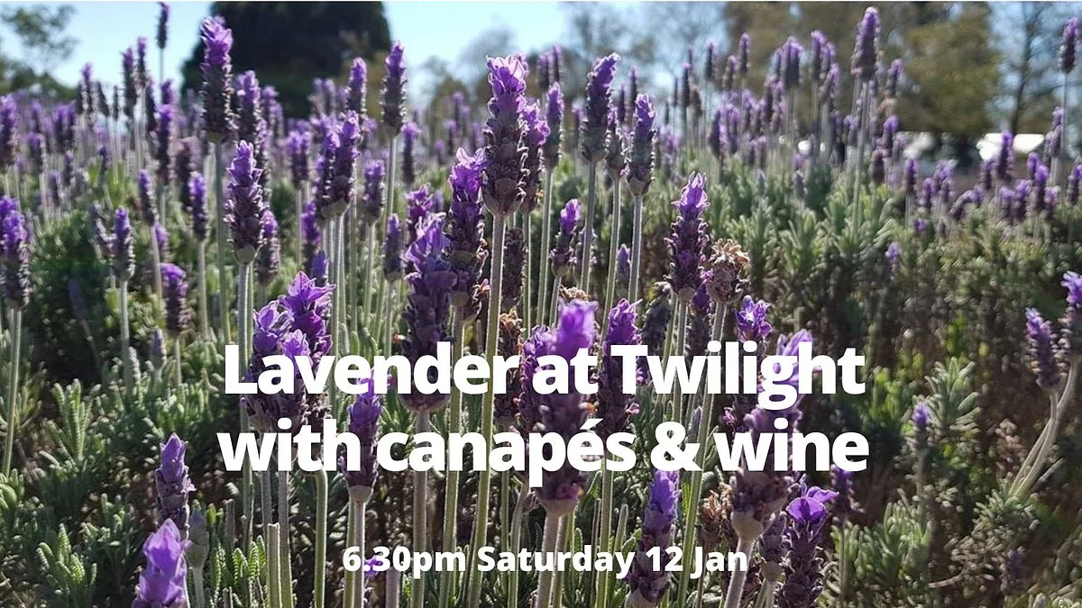 Warratina Lavender Farm