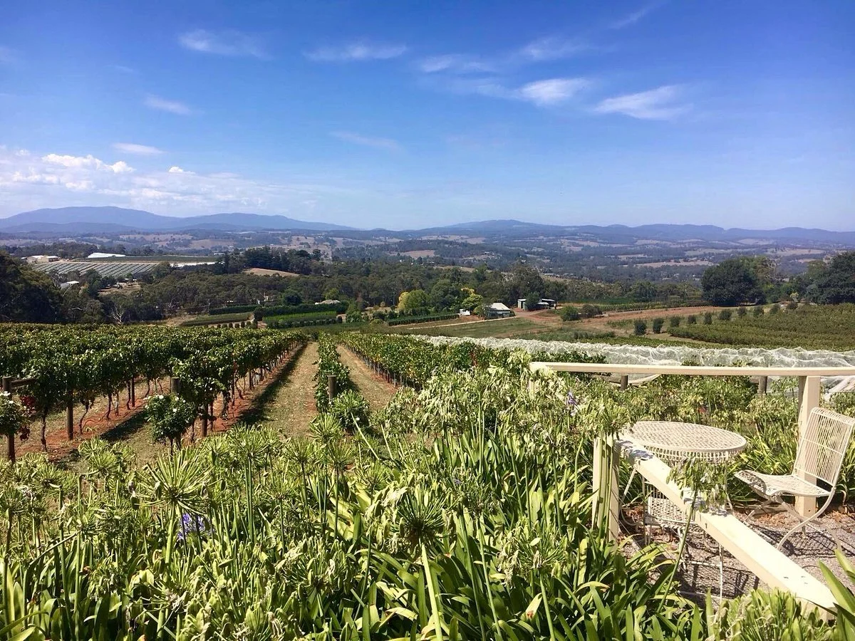Elmswood Estate Winery