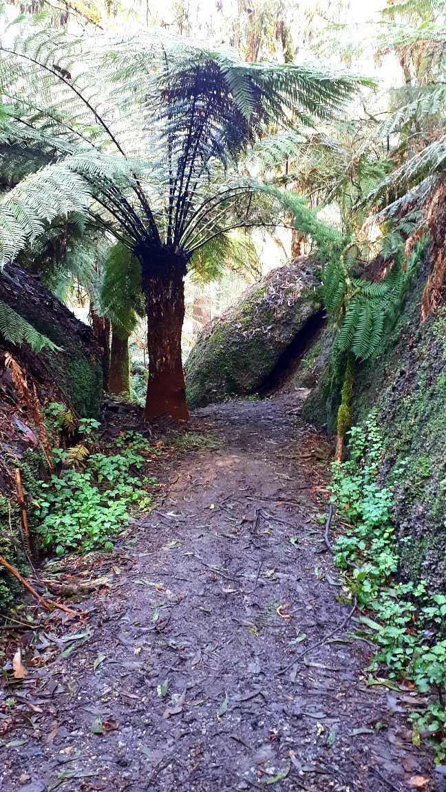 Glen Nayook Reserve