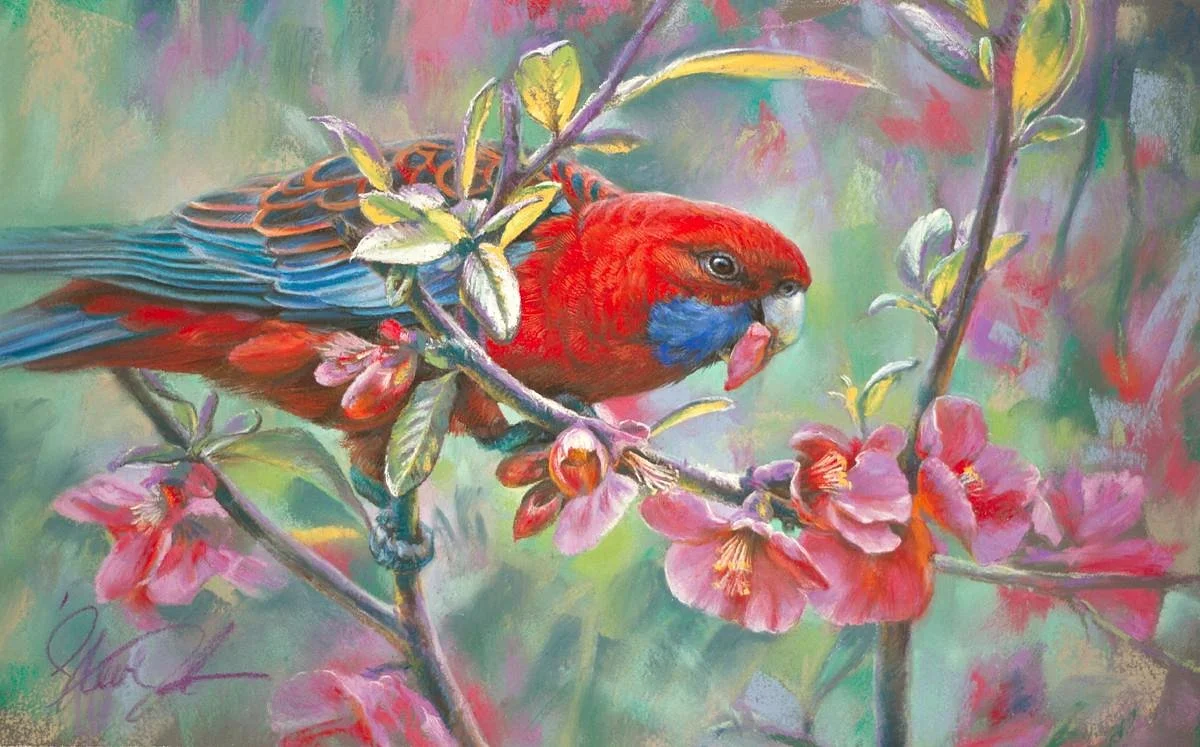 Steve Morvell Wildlife Art