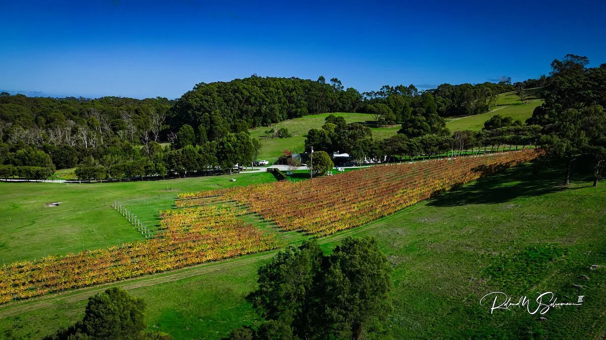 Waratah Hills Vineyard