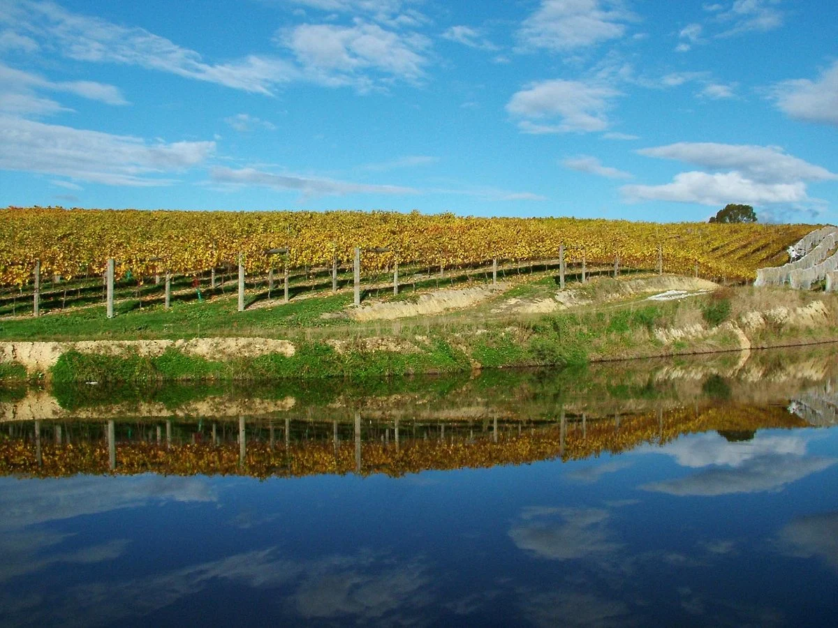Rimu Grove Winery