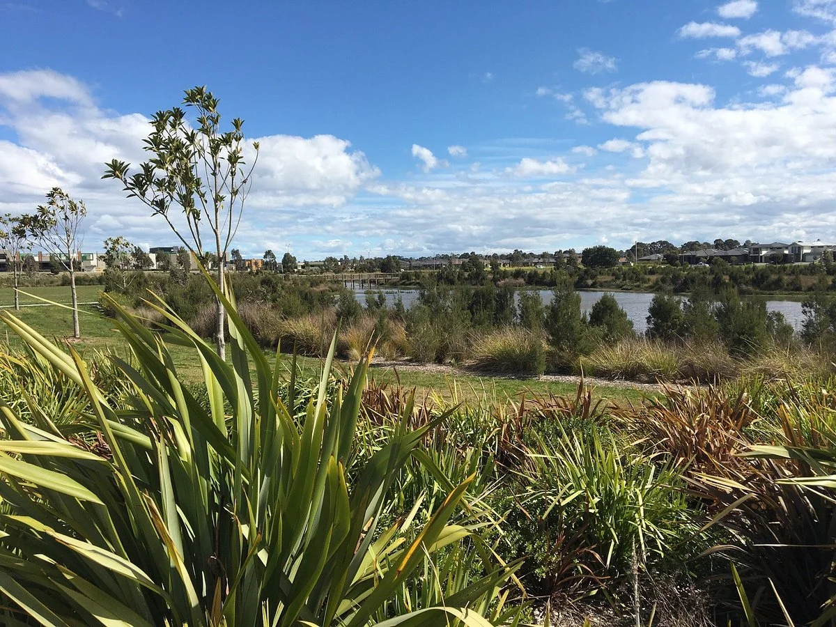Cascade on Clyde Wetlands