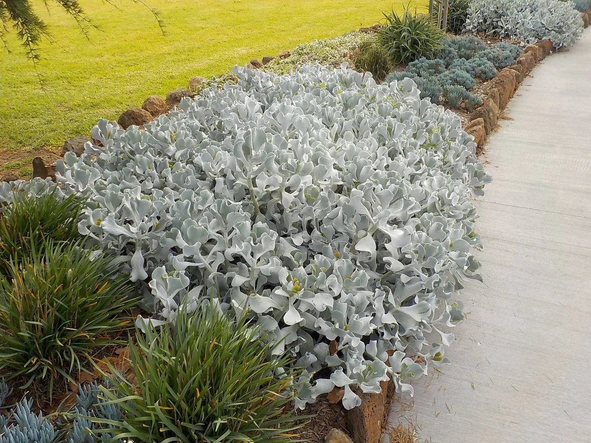 Coulson Gardens