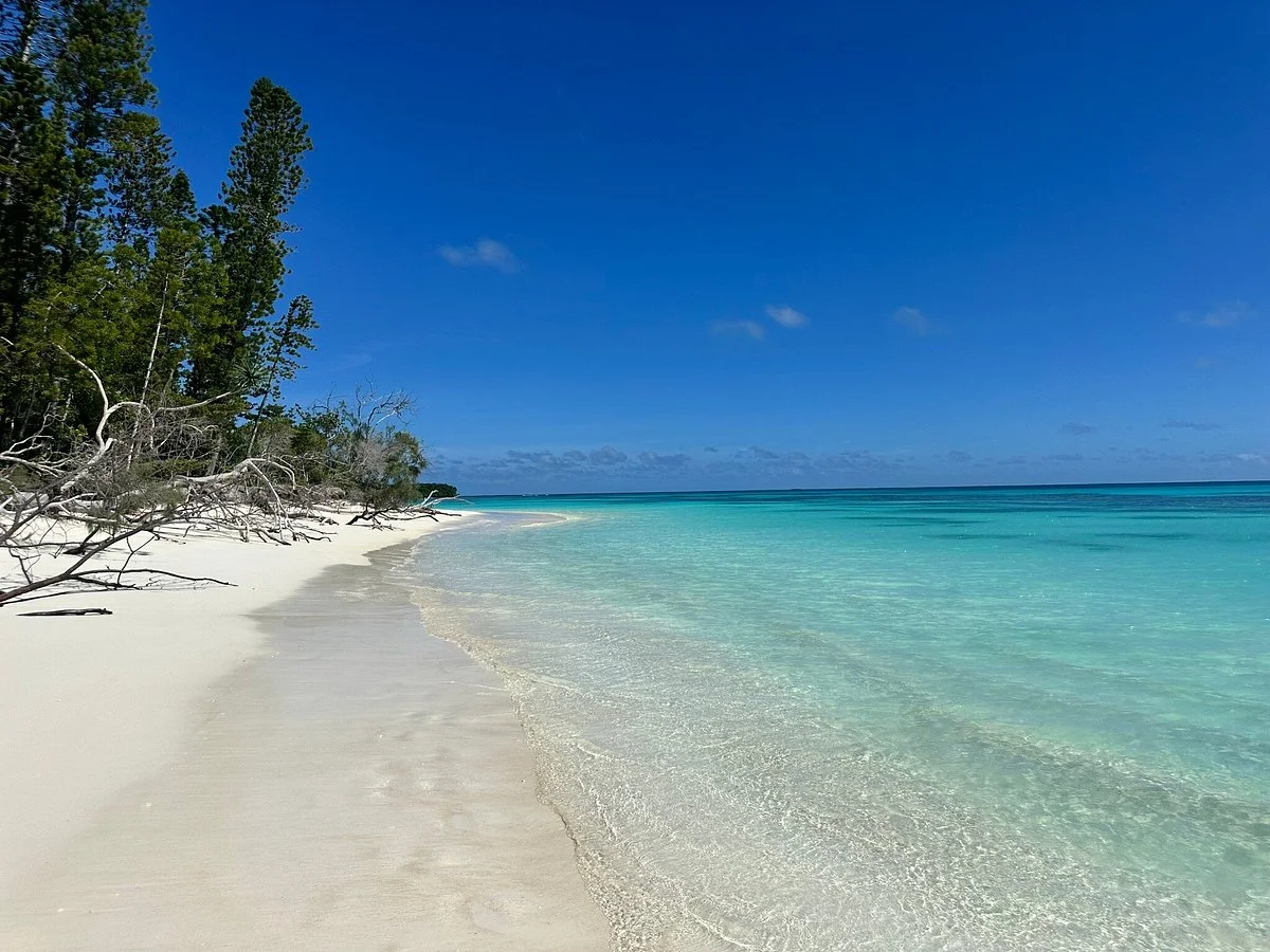 Brush Island