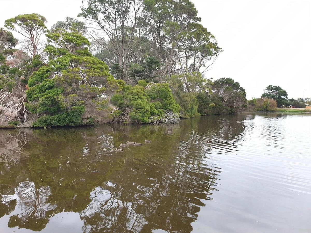 Civic Reserve