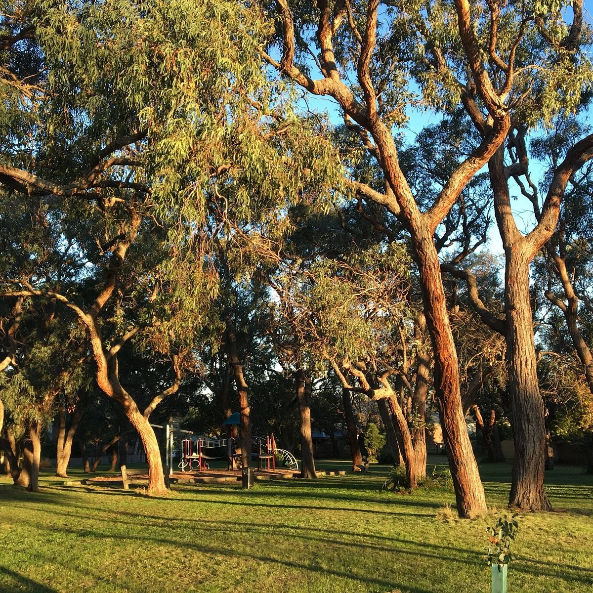 Apex Park
