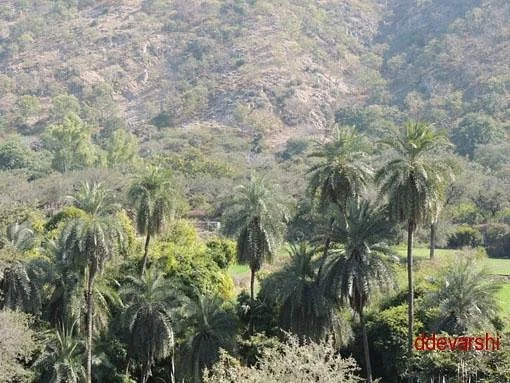 Jamva Ramgarh Wildlife Sanctuary