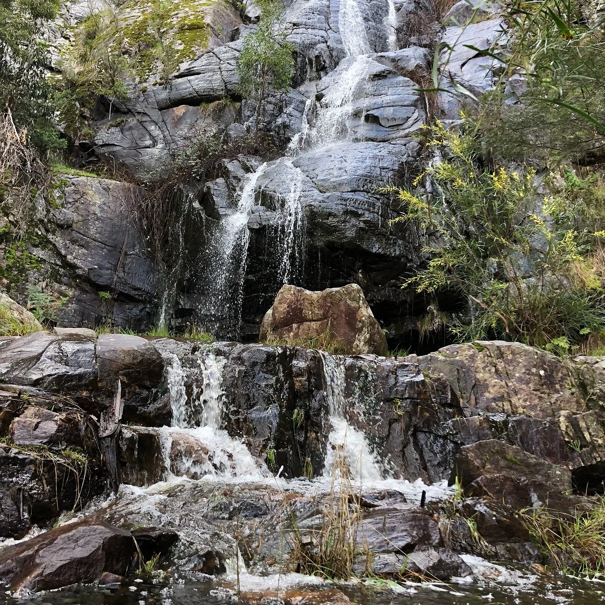 Clematis Falls