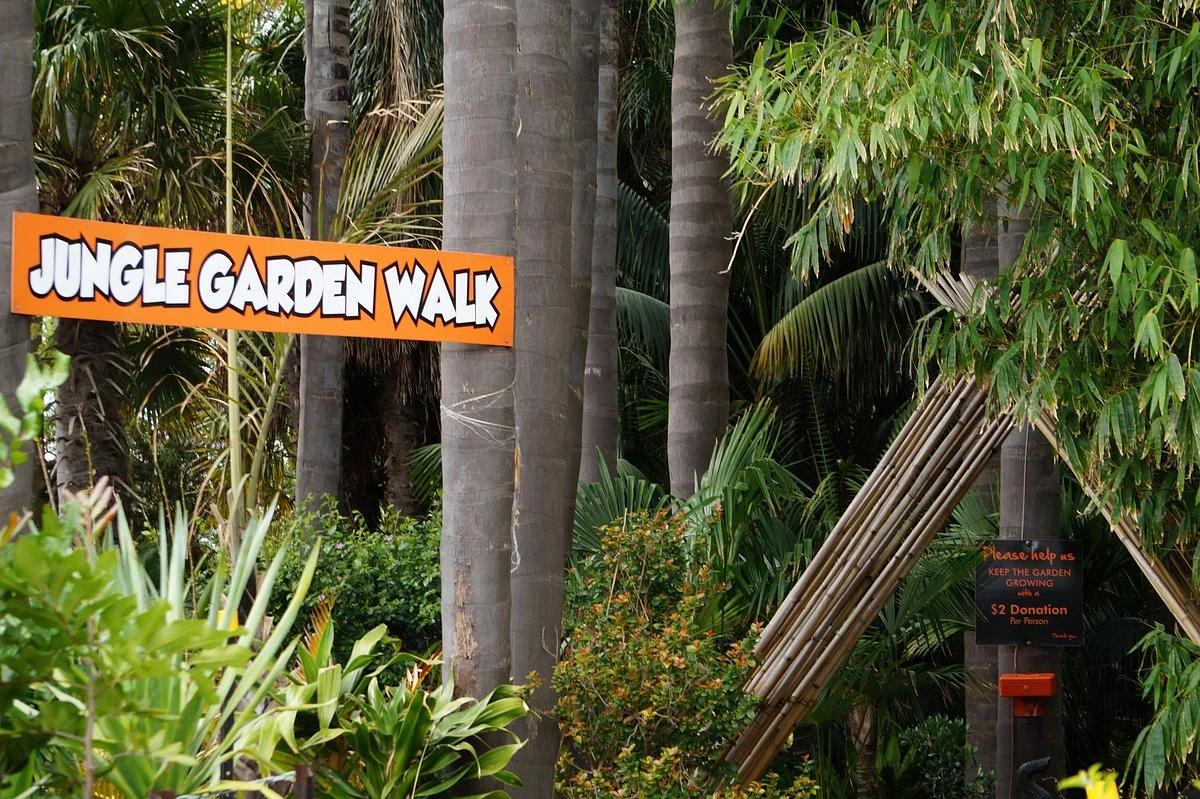 Jungle In Willunga